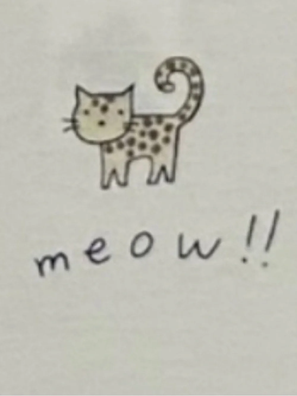 Gap Cat 'Meow' Long Sleeve Pajama Set with Leopard Print Pants